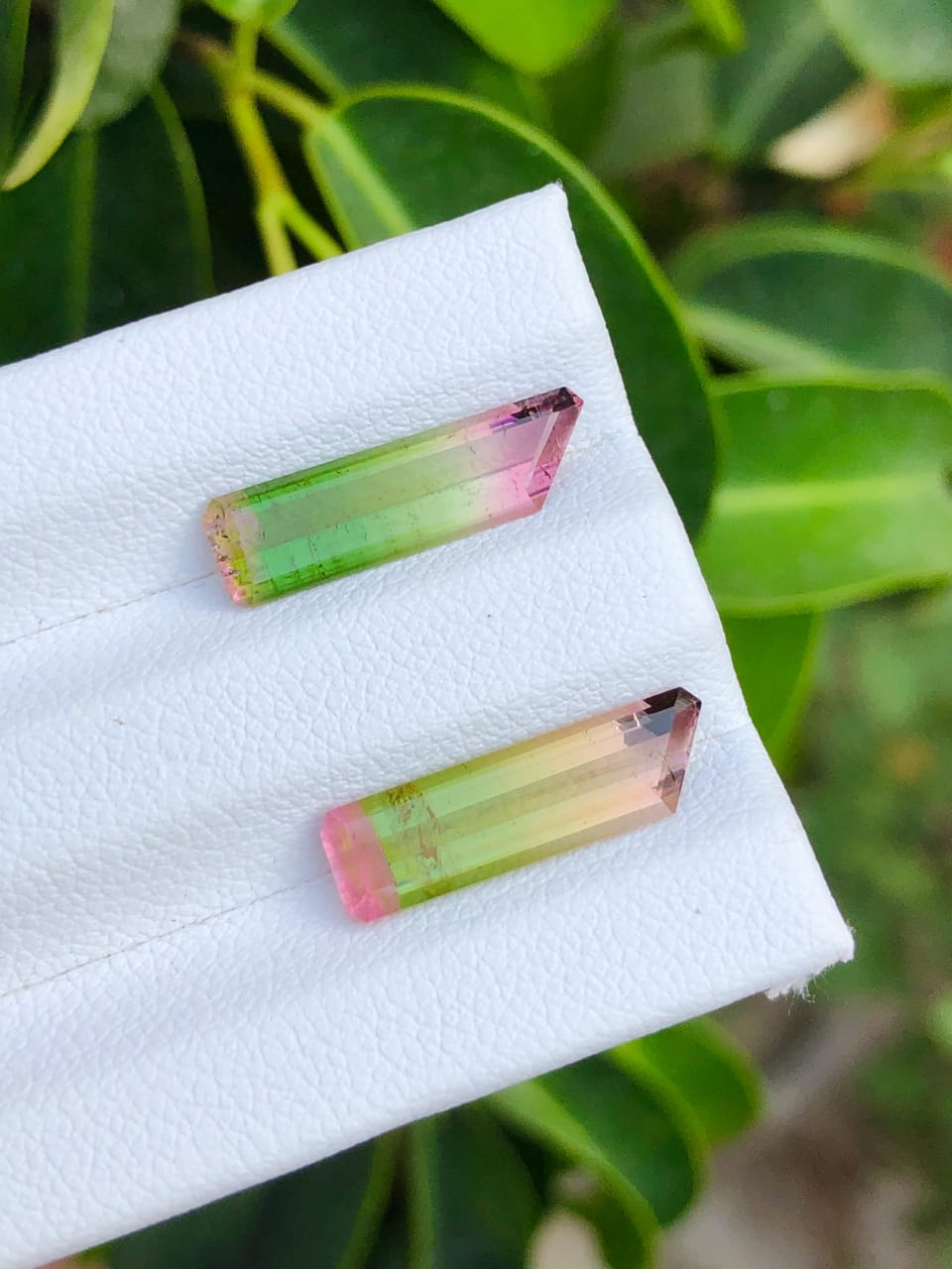 Rare Watermelon Tourmaline Pair 4.20 Carats from Afghanistan