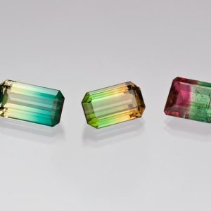 Bicolor Tourmaline